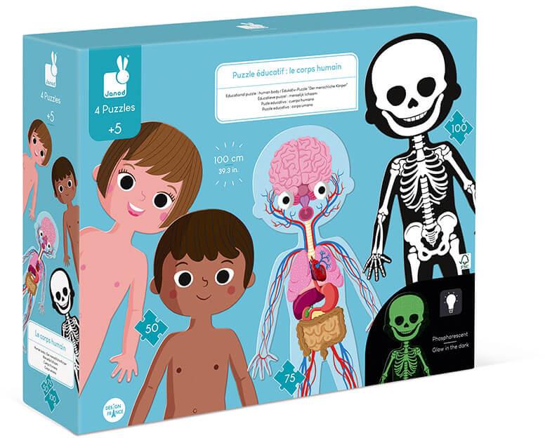 mzz3kksmxlkbtzuycwixr2ghaxqefgyhth5rb3ab.jpg Човешкото тяло - образователен пъзел
